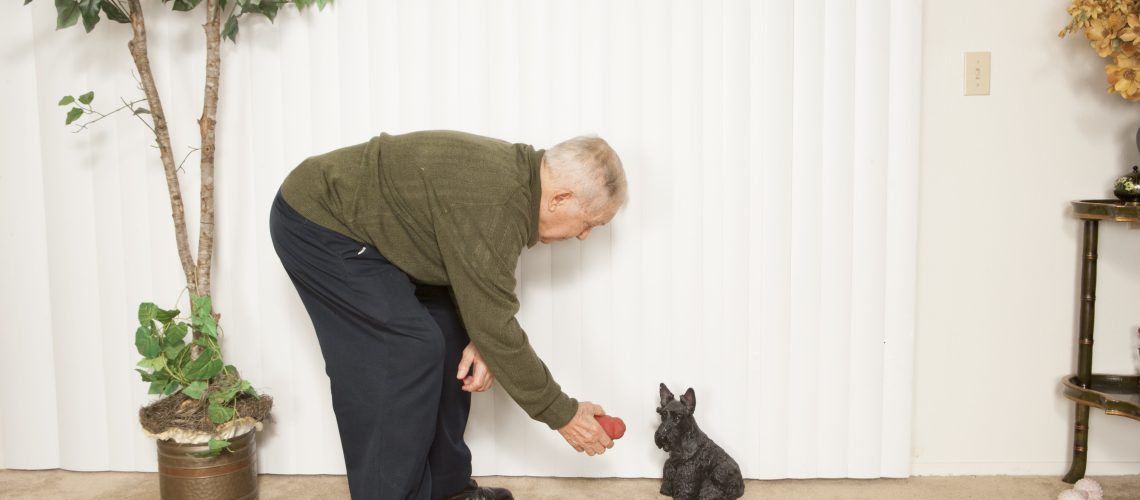Senior man instructing pet